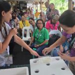 DENR-12 empowers PWD, Senor Citizen personnel through urban gardening training in Tacurong City