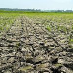 El Niño ramdam na sa Maguindanao del Sur EL Niño