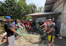 DSWD XII, itinampok ang 117 kilo ng tilapia at Food-for-Work sa Banga