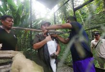 Cotabato Province, Philippine Eagle Foundation nagsagawa ng Wildlife Enforcement Officer deputation training